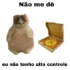 Meme gatos 14