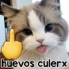 huevos culerx