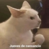 Jueves de cansancio