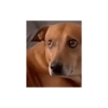 MEMES & Reações 6
