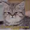 no te burles de mi, soy muy sensible