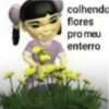 colhendo flores pro meu enterro