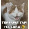 Meme Kucing Indo🐱 9