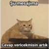 Şu mesajıma gumbalmodum gumbalmedum Cevap vericekmisin artık