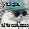 y tu que