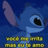 Stitch 14
