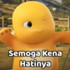DINO BUCIN 14