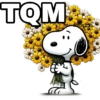 TQM carolszdia