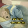 Eu vi no TikTok  7