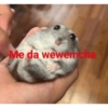 😎 STICKERS SHITPOST 22 🤙 5