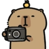 Capybara sticker  5