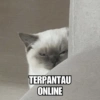 TERPANTAU ONLINE