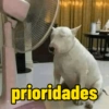 prioridades