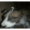 😎 STICKERS SHITPOST 22 🤙 7