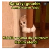 Sana iyi geceler demek isterim fakat 1/2 gumbalmodum gumbalmodum Melekler uyumaz diye biliyorum Hanım efendi gumbalmodum