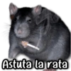 Astuta la rata