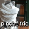 pinché frio