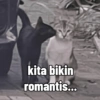 kita bikin romantis...