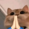 📌🌈🐈✨️Gatos Funny Mood✨️🐈‍⬛🌈 14