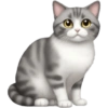 🐱 Pet Cats | Emoji Style 12