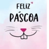 Feliz Páscoa / coelhinho  9