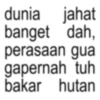 dunia jahat banget dah, perasaan gua gapernah tuh bakar hutan