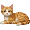 🐱 Pet Cats | Emoji Style 10