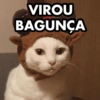VIROU BAGUNÇA