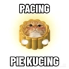 Kucing Anomali 4 8