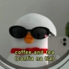Reações, memes e deboche  17