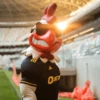 Atlético mineiro mg futebol 13