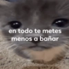 en todo te metes menos a bañar