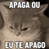 MEMES ALEATÓRIOS🤪🤣👇 6