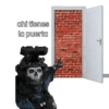 Cod 28