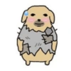Nudaeng dog meme 17
