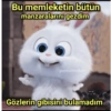 Bu memleketin bütün manzaralarını gezdim gumbalmodum Gözlerin gibisini bulamadım