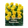 Flores amarillas 🌼🌻 12