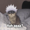 Hah apaa?