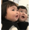 Bimba coreana 30