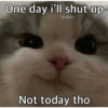 One day i'll shut up @uoanx Not today tho