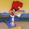Picapau 5