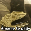 🩷😍Gatitos Con Frases🥴🐈‍⬛ 6