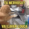 TÁ NERVOSO? VAI LAVAR LOUÇA