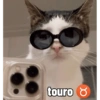 touro Ŏ