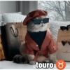 ¿touro α ୪ JO MATONE MN COACH