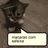 Novos shitpost 8