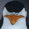 Meme Penguin 🐧 13