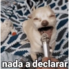 nada a declarar
