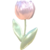 🌷 ५◦ cute flower★ 𓂃💐 5