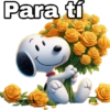 Para tí carolszdio